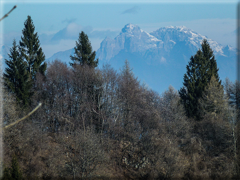 foto Salita dal Monte Tomba a Cima Grappa